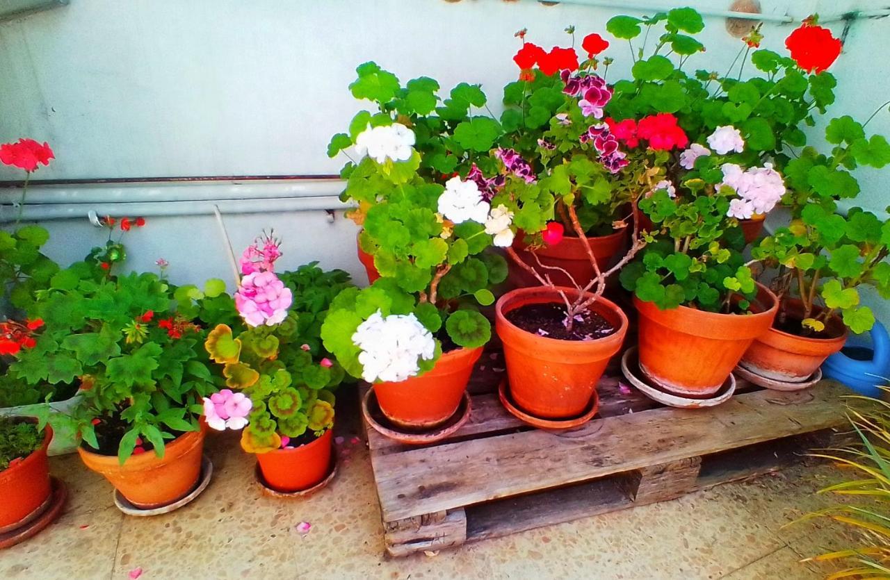 Hostal Pension Mar De Plata Lugo Luaran gambar